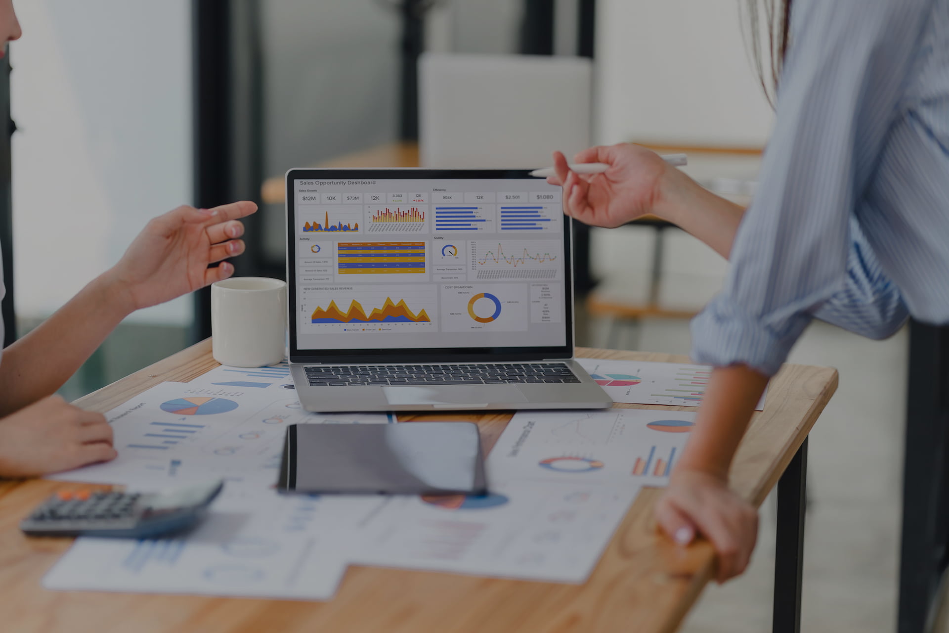 Project Management/Report Builder
